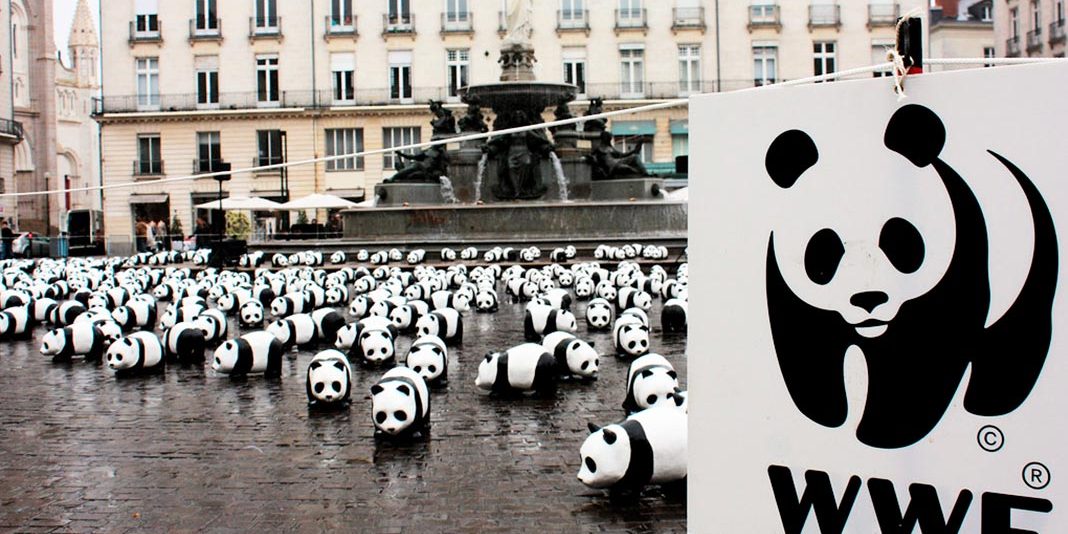 wwf