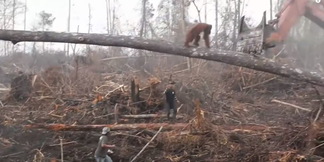 captura_de_vídeo