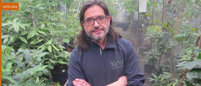 kew