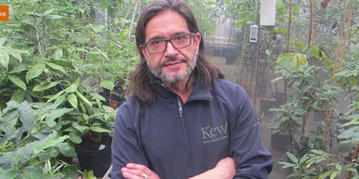 kew