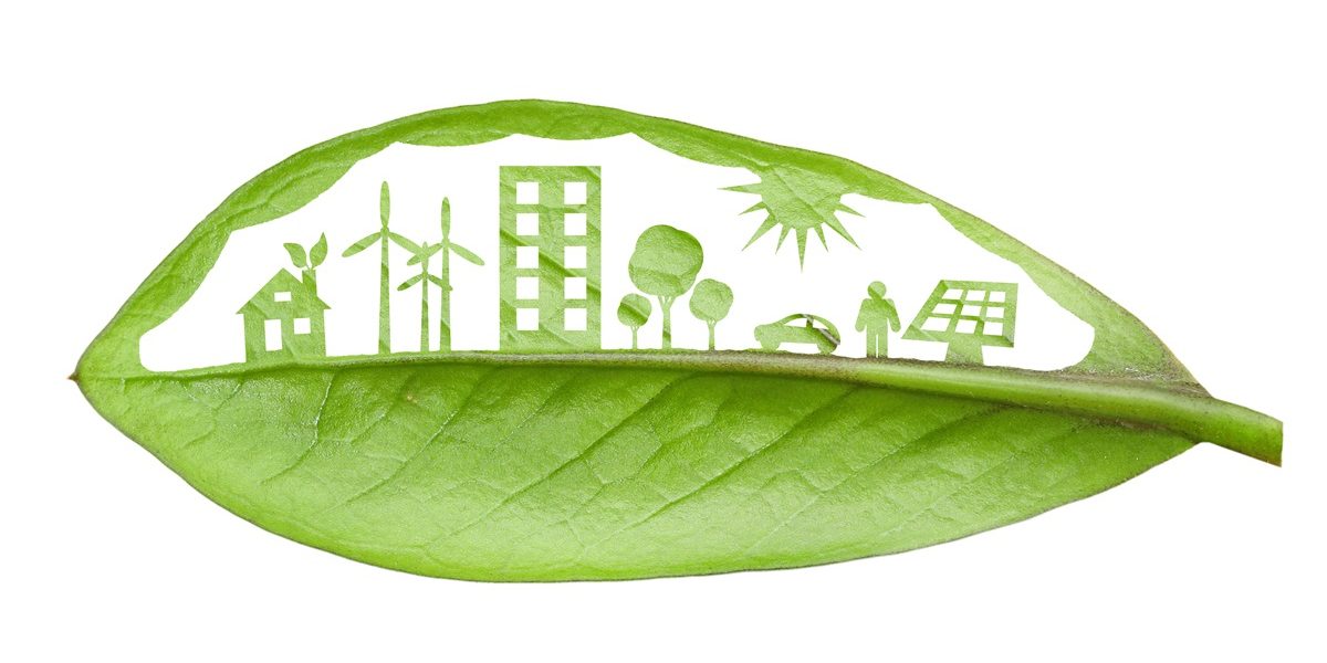 new-economy