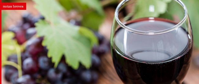 notas_breves_vino