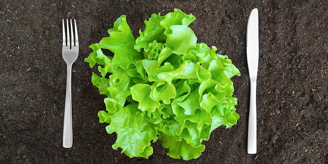nutricion4