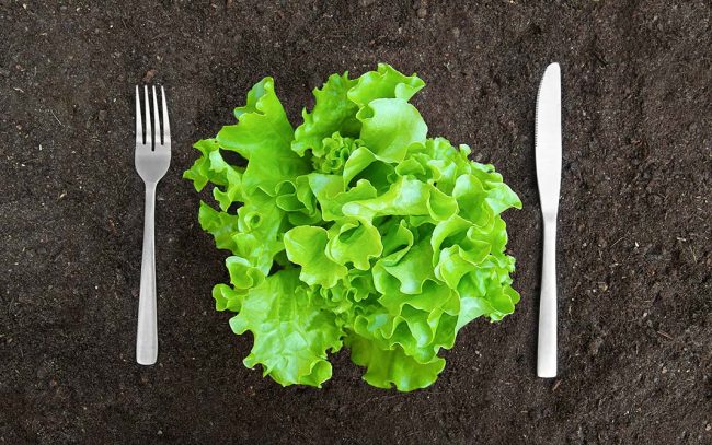 nutricion4