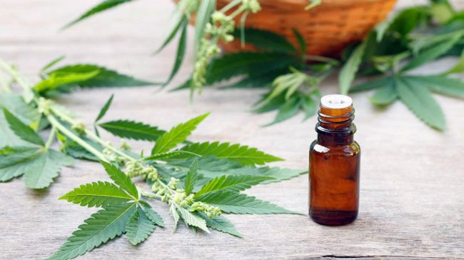 xcannabis_aceite.jpg.pagespeed.ic_.4Qx3ozIoXp