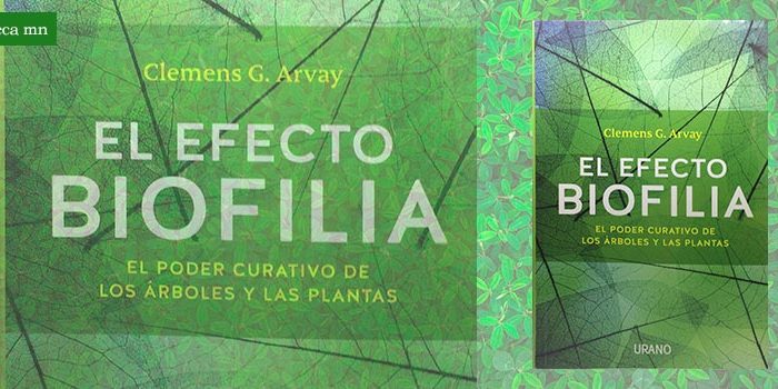 biblioteca_1