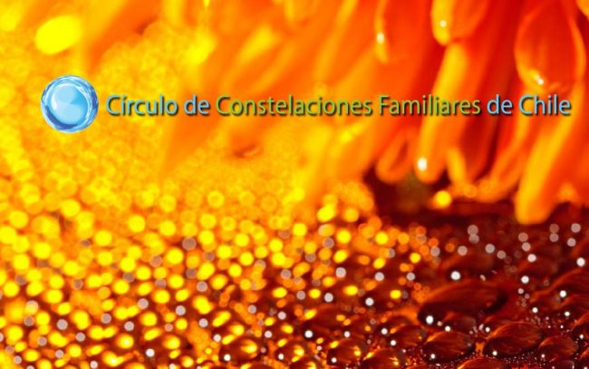 circulo constelaciones