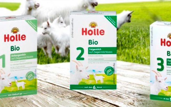 holle_aviso1