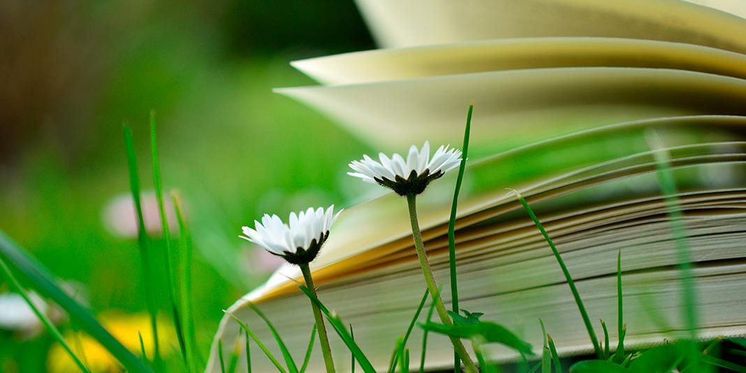 libros_verano-1