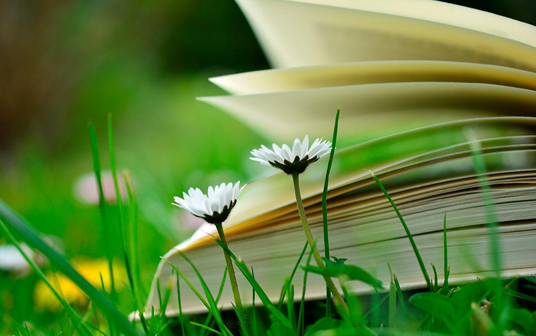 Los mejores libros para inspirarse en la naturaleza este verano mundonuevo.cl