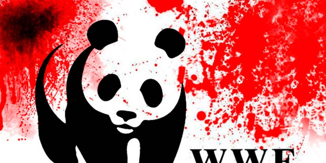 silencio_pandas