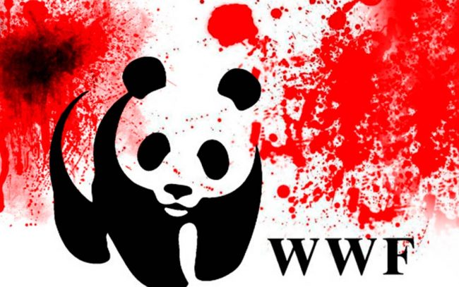 silencio_pandas