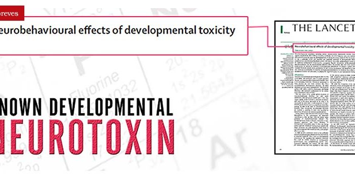 neurotoxicidad