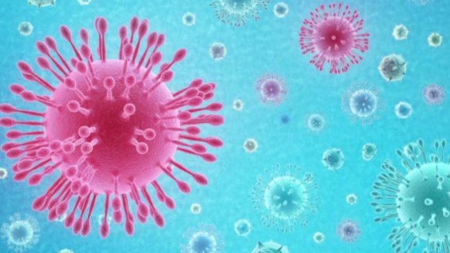 coronavirus-655×368