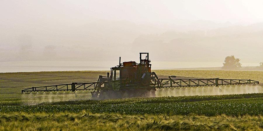 agriculture