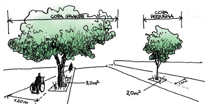arboles-calzada