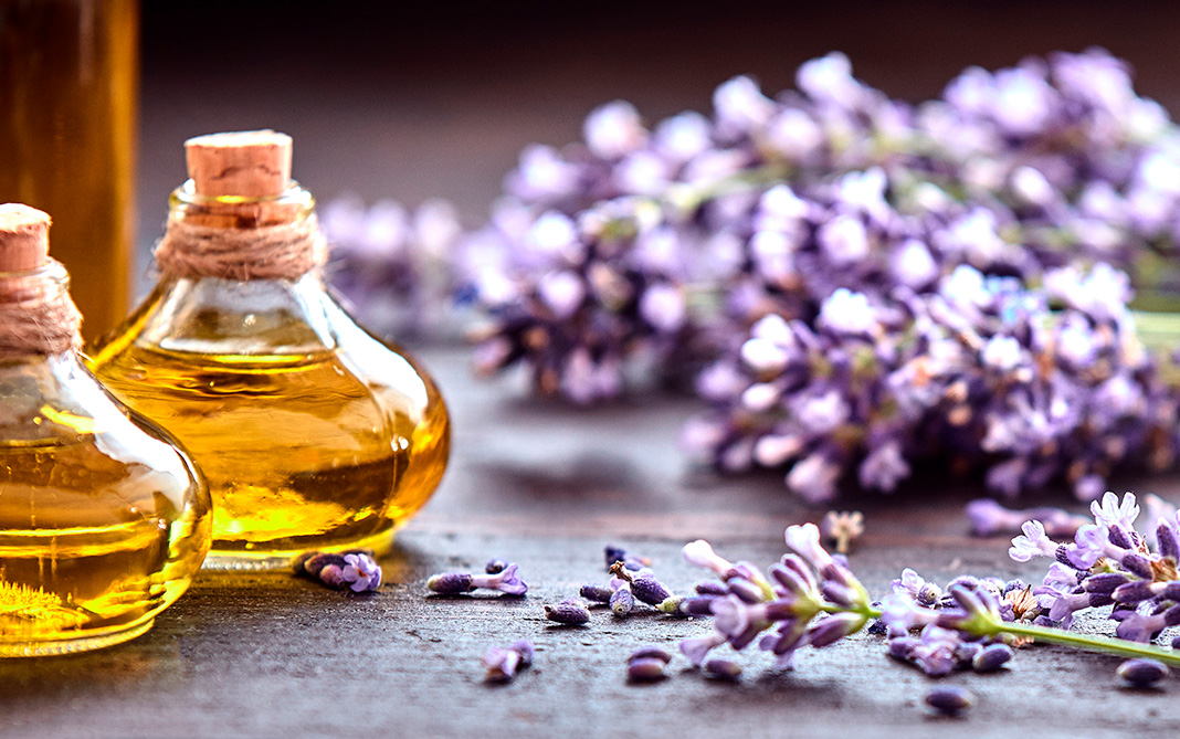 Aromaterapia: Aromas que curan mundonuevo cl