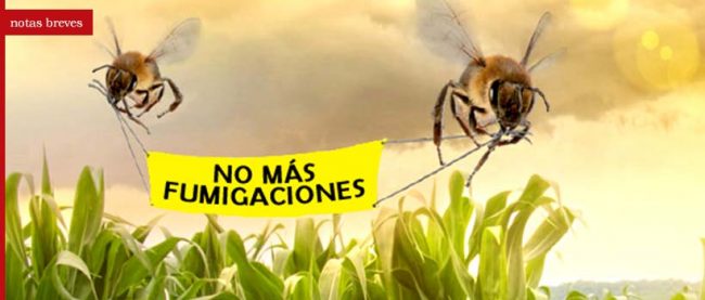 nota_insecticidas
