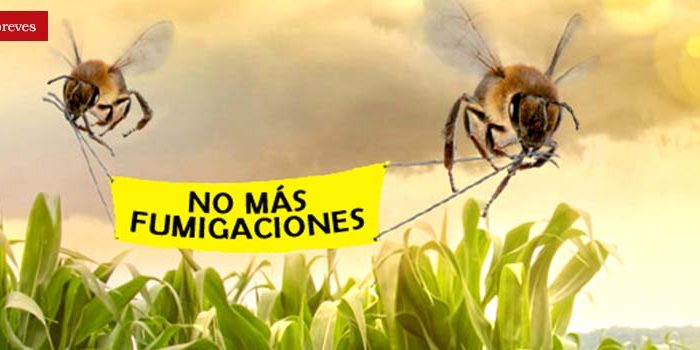 nota_insecticidas
