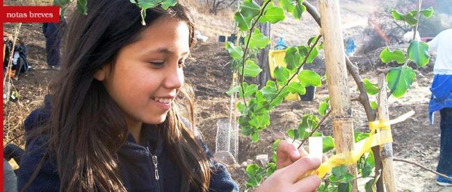 nota_reforestar