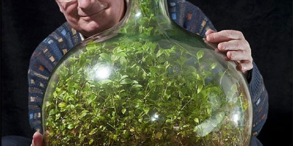 TW_BottleGarden05