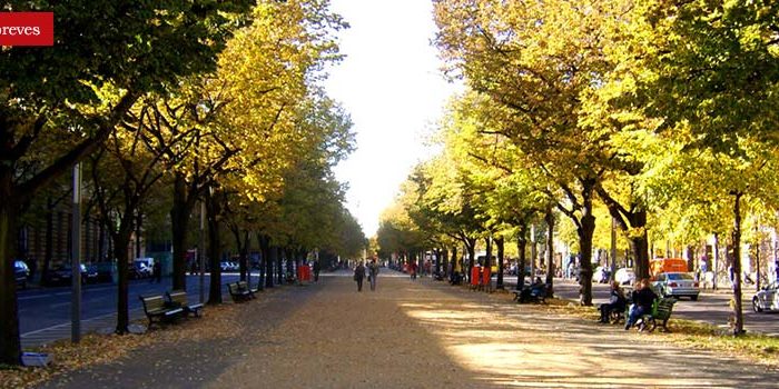 notaberlin