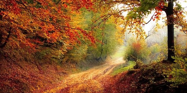 road-1072823_640