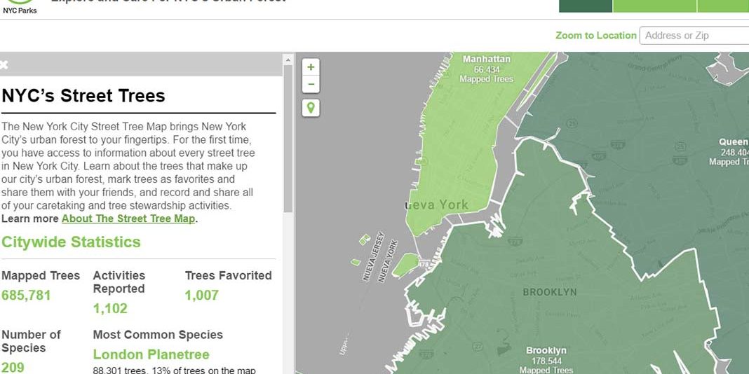 NYC-street-tree-map2