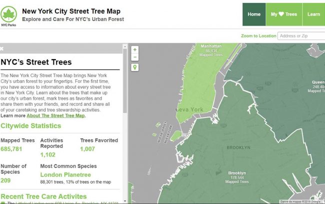 NYC-street-tree-map2