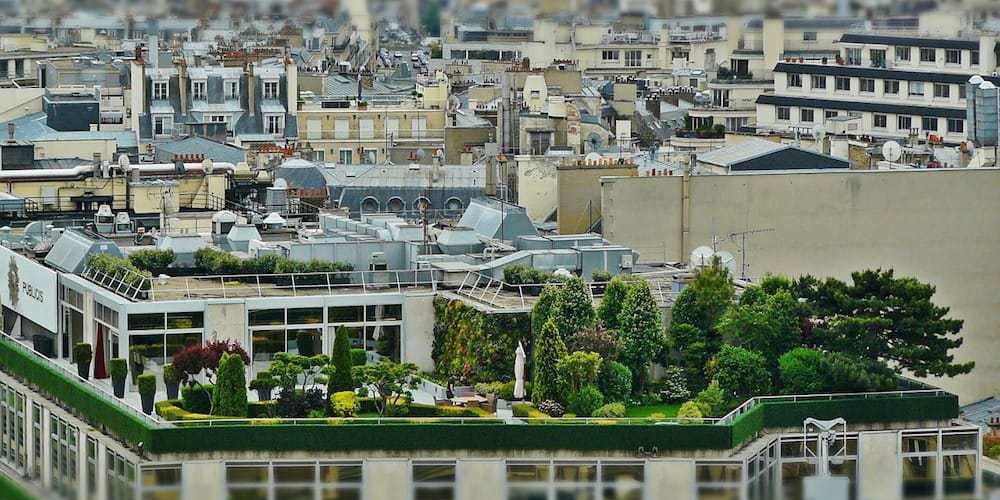 Paris3