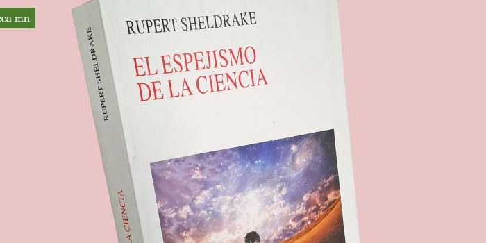 biblioteca-1