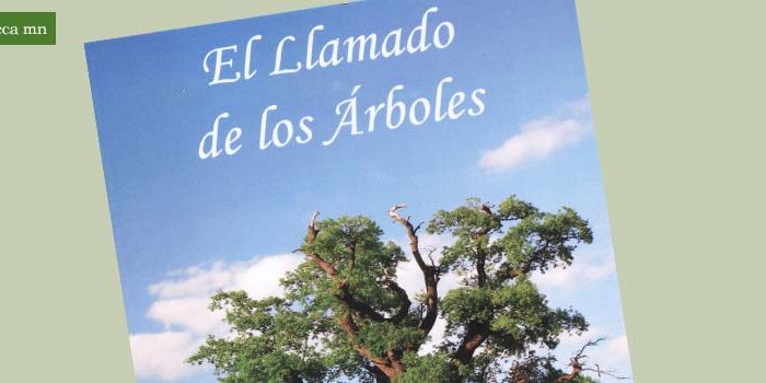 biblioteca-2