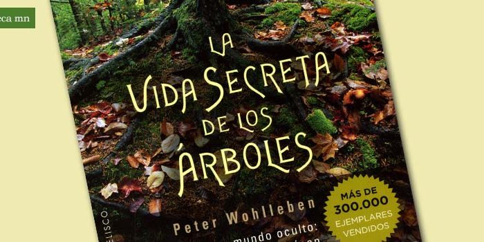 biblioteca-3