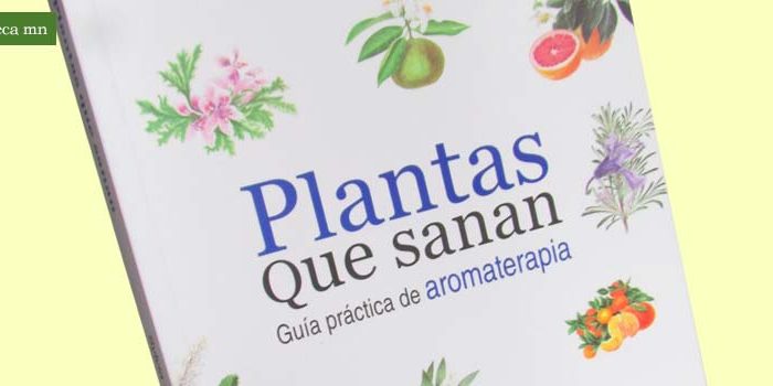 biblioteca