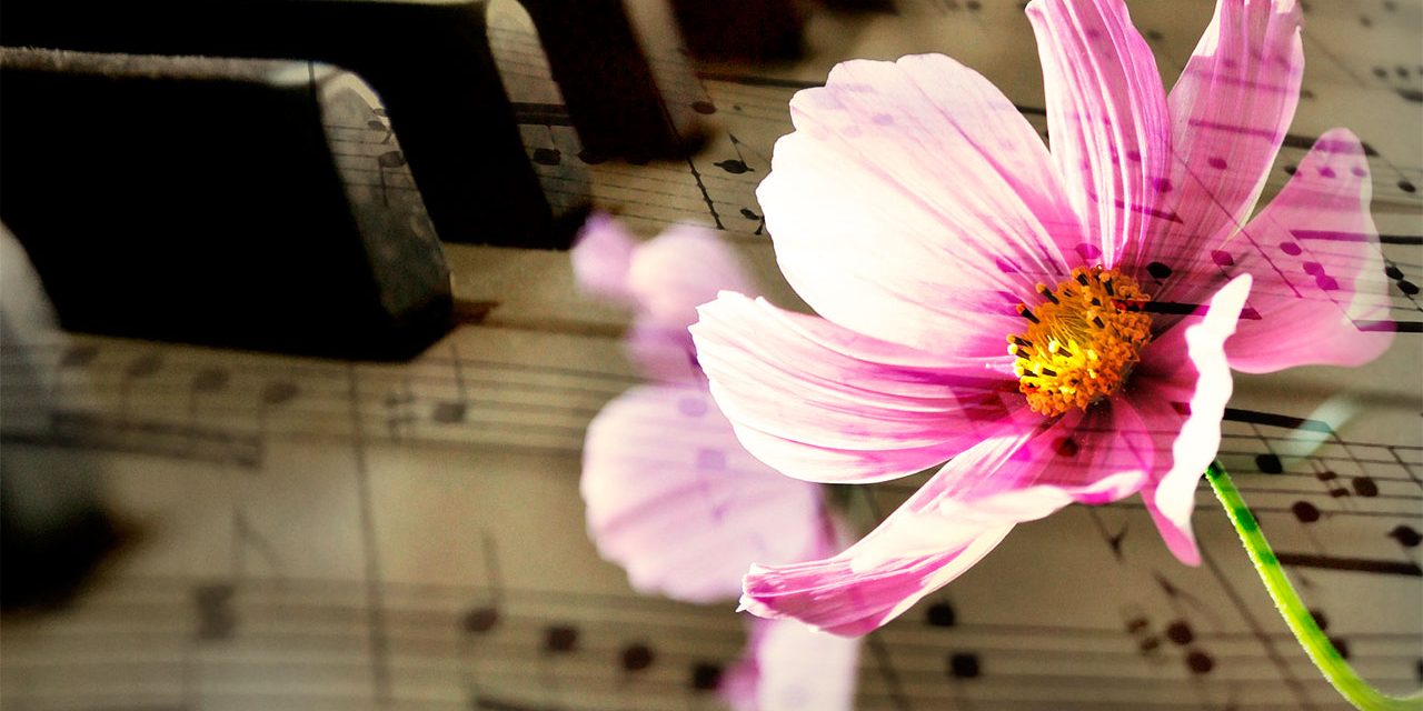 plantasymusica