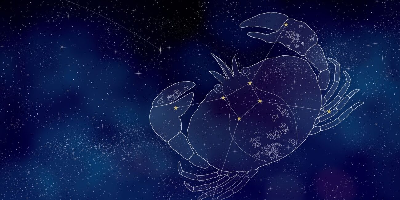 Banner Gaia Web (9)