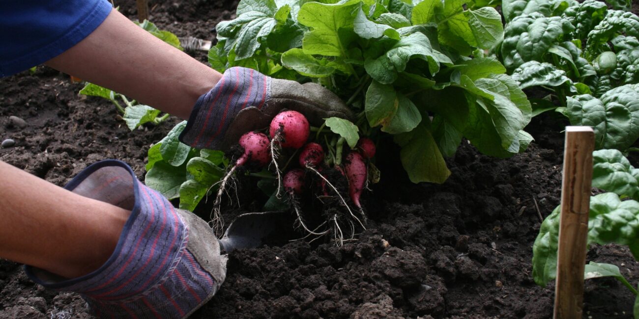 Compromiso con la alimentación sostenible