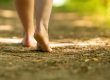 earthing grounding baño de bosque