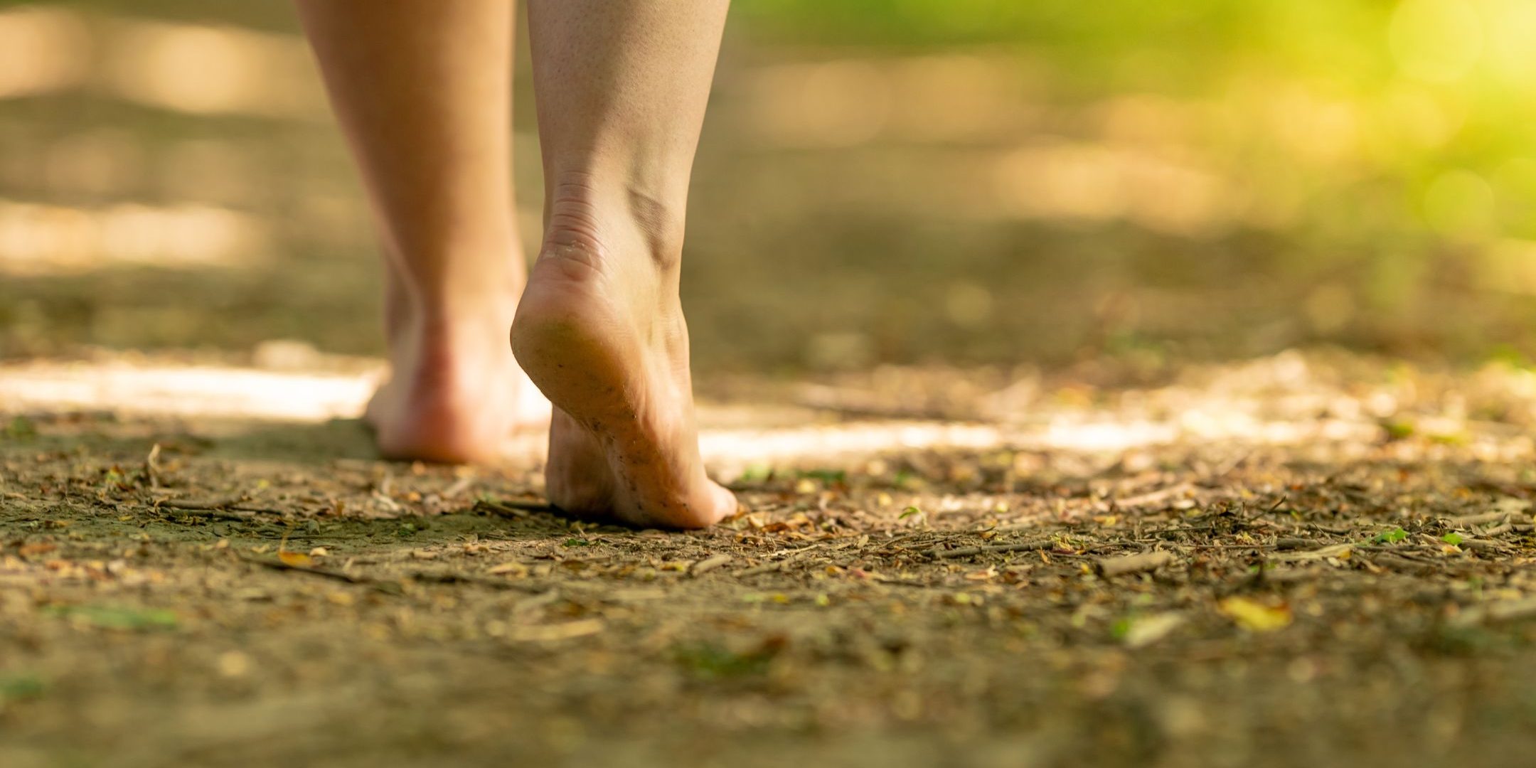 earthing grounding baño de bosque