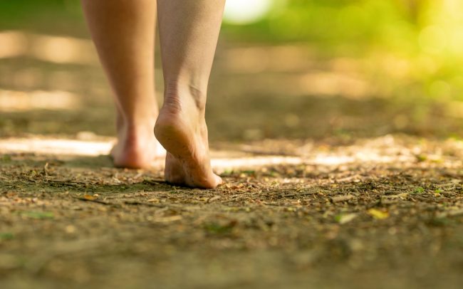 Baños de bosque Shinrin-Yoku grounding earthing earthing grounding baño de bosque