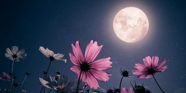 La importancia de la luna llena