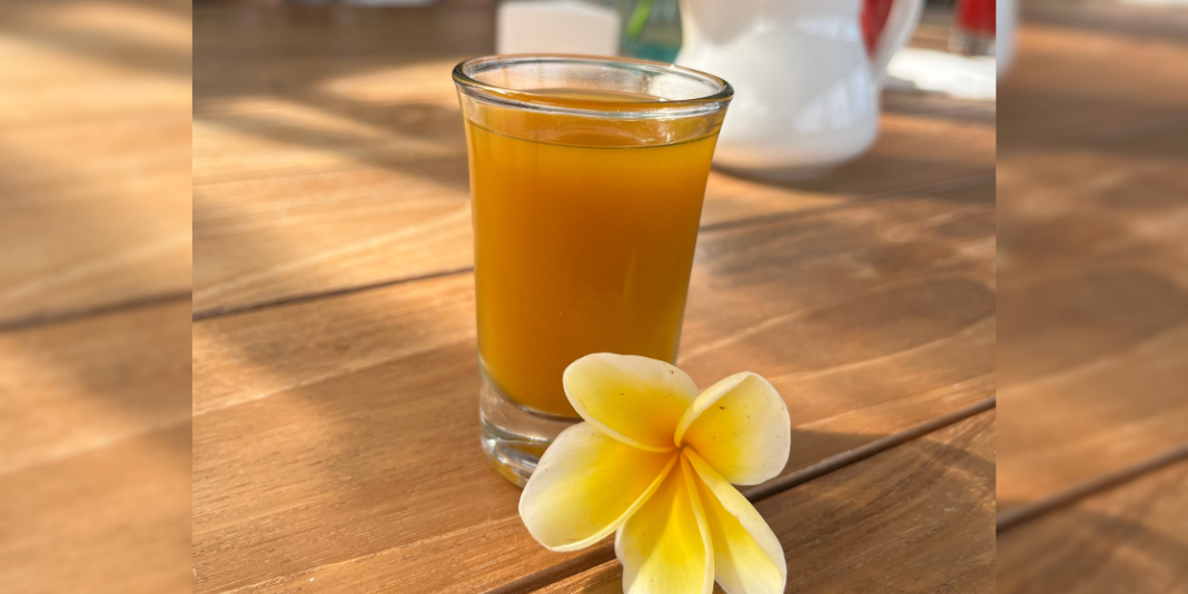 Jamu un elixir para la salud